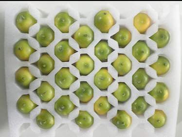 上海珍珠棉厂家 上海珍珠棉厂家